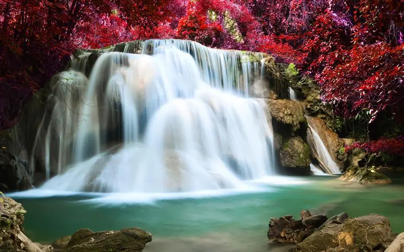 自动化网络化